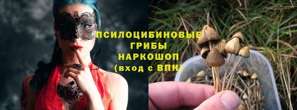 PSILOCYBIN Переславль-Залесский