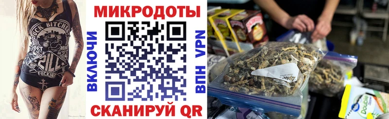 Псилоцибиновые грибы Psilocybe  Бронницы 